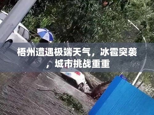 梧州遭遇极端天气，冰雹突袭，城市挑战重重