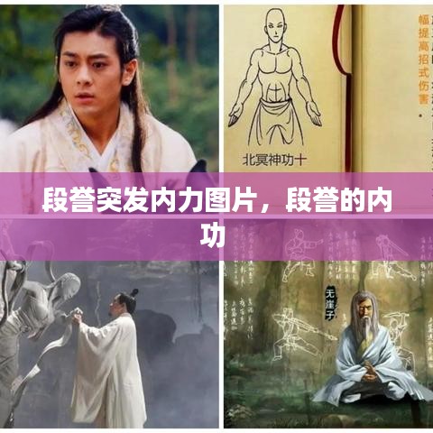 段誉突发内力图片，段誉的内功 