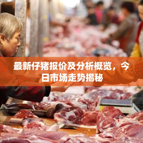 最新仔猪报价及分析概览，今日市场走势揭秘