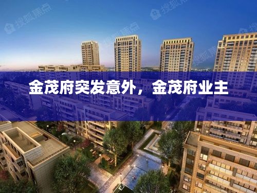 金茂府突发意外，金茂府业主 