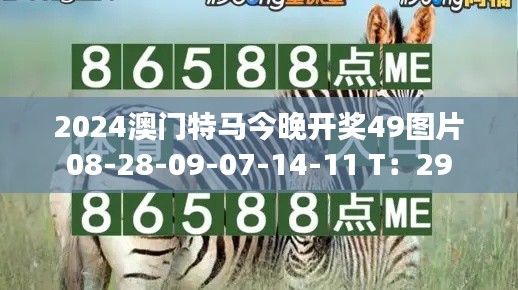 2024澳门特马今晚开奖49图片08-28-09-07-14-11 T：29