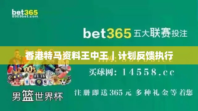 香港特马资料王中王｜计划反馈执行
