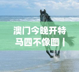 澳门今晚开特马四不像图｜广泛的关注解释落实热议