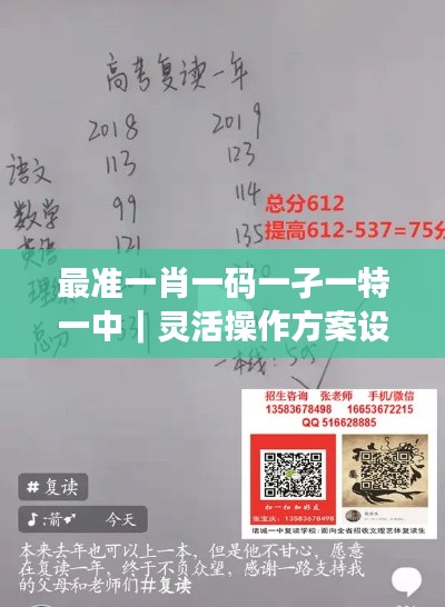 最准一肖一码一孑一特一中｜灵活操作方案设计