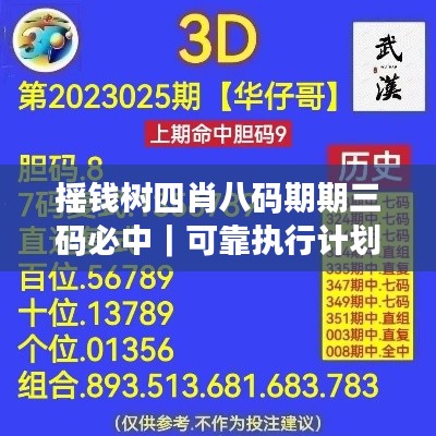 摇钱树四肖八码期期三码必中｜可靠执行计划