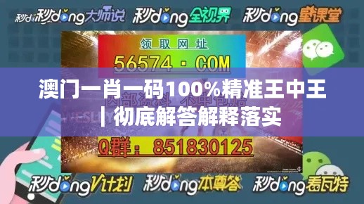 澳门一肖一码100%精准王中王｜彻底解答解释落实