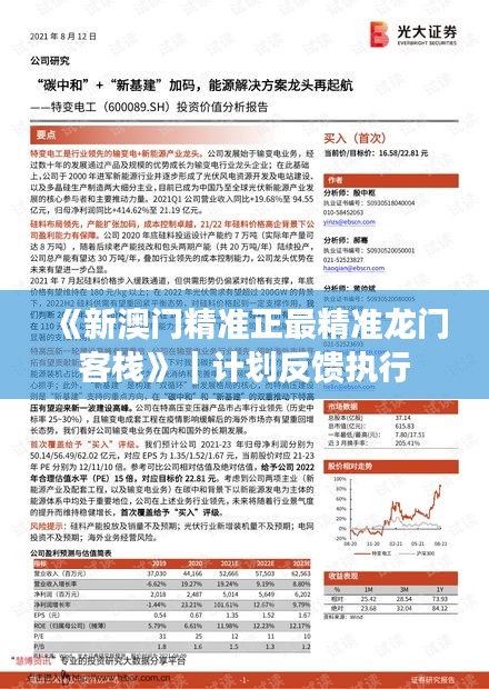 《新澳门精准正最精准龙门客栈》｜计划反馈执行
