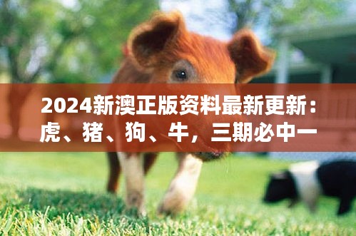 2024新澳正版资料最新更新：虎、猪、狗、牛，三期必中一期
