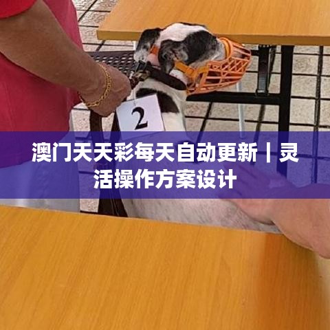 候鸟南飞 第2页