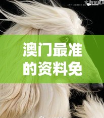 全神贯注 第2页