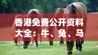 香港免费公开资料大全：牛、兔、马、鸡，精选四肖