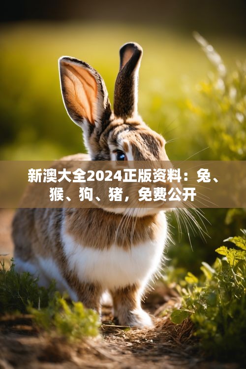 新澳大全2024正版资料：兔、猴、狗、猪，免费公开