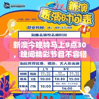 新澳今晚特马上9点30，晚间精彩节目不容错过