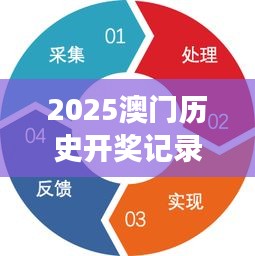 2025澳门历史开奖记录｜全面解析与深度体验
