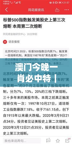 澳门今晚一肖必中特｜最新答案解释落实