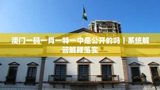 澳门一码一肖一特一中是公开的吗｜系统解答解释落实