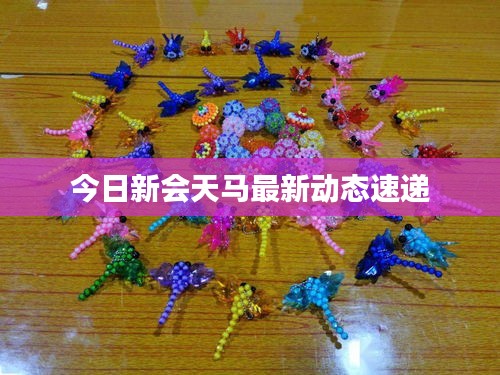 今日新会天马最新动态速递