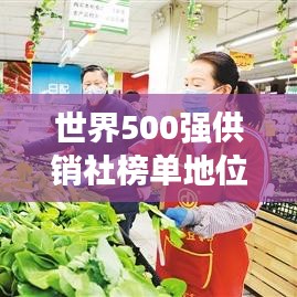 世界500强供销社榜单地位及影响力深度解析