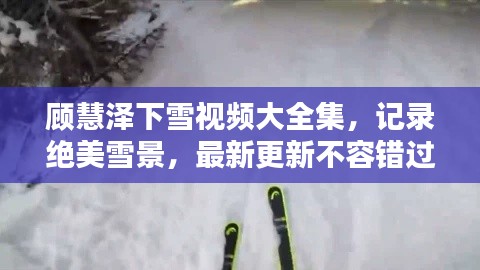顾慧泽下雪视频大全集，记录绝美雪景，最新更新不容错过！