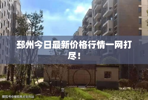邳州今日最新价格行情一网打尽！