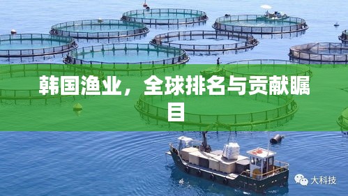 韩国渔业，全球排名与贡献瞩目