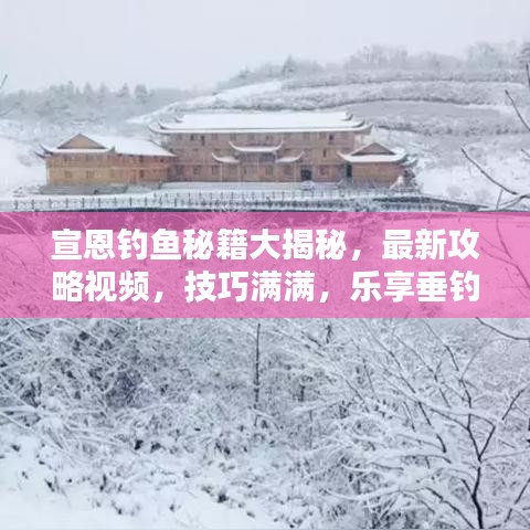 宣恩钓鱼秘籍大揭秘，最新攻略视频，技巧满满，乐享垂钓时光