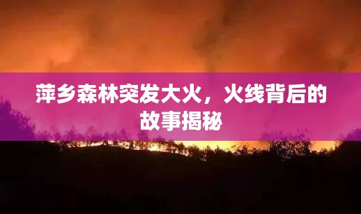 萍乡森林突发大火，火线背后的故事揭秘