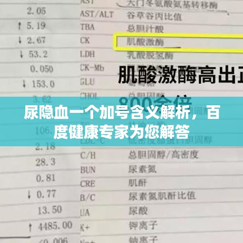 尿隐血一个加号含义解析，百度健康专家为您解答