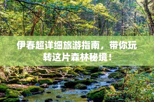 伊春超详细旅游指南，带你玩转这片森林秘境！