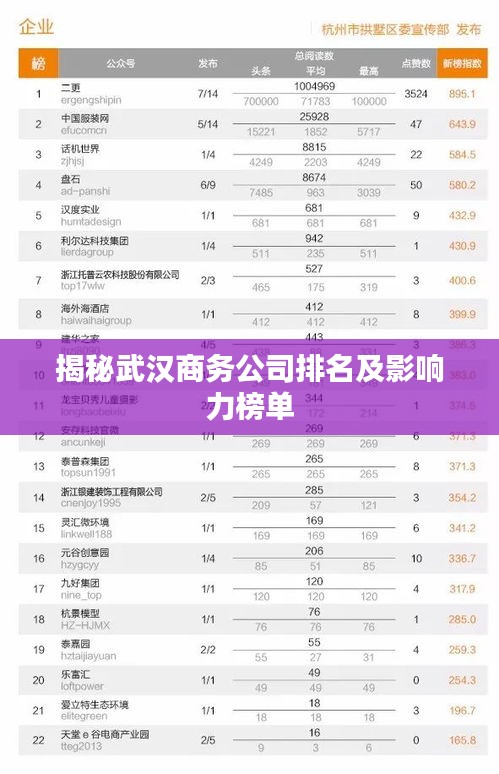揭秘武汉商务公司排名及影响力榜单