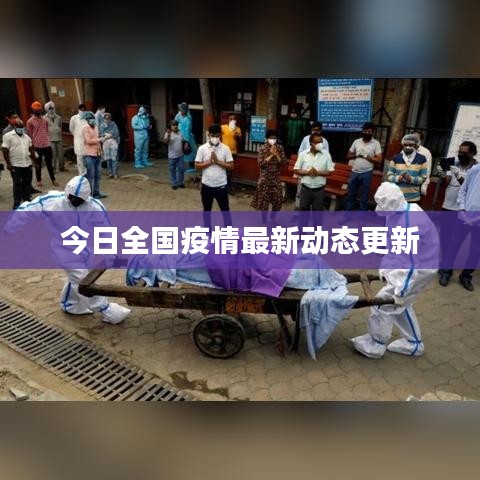 今日全国疫情最新动态更新