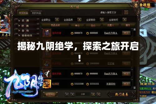 揭秘九阴绝学，探索之旅开启！
