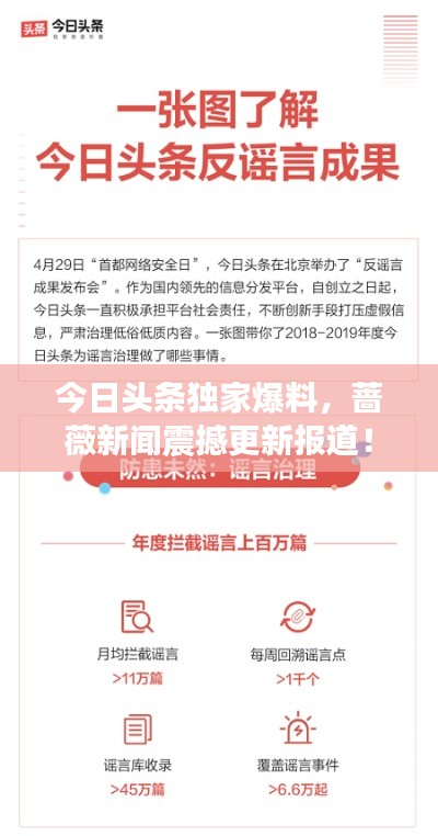 今日头条独家爆料，蔷薇新闻震撼更新报道！