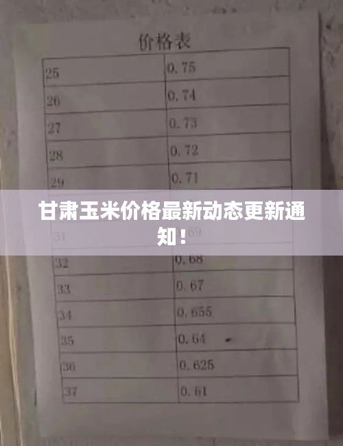 甘肃玉米价格最新动态更新通知！