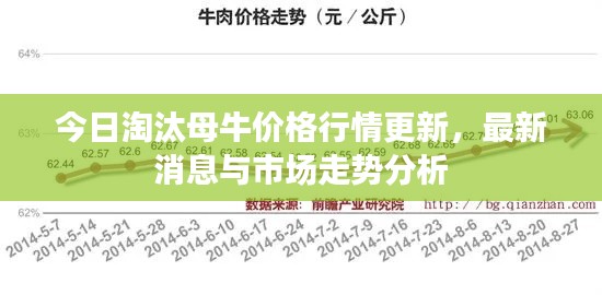 今日淘汰母牛价格行情更新，最新消息与市场走势分析