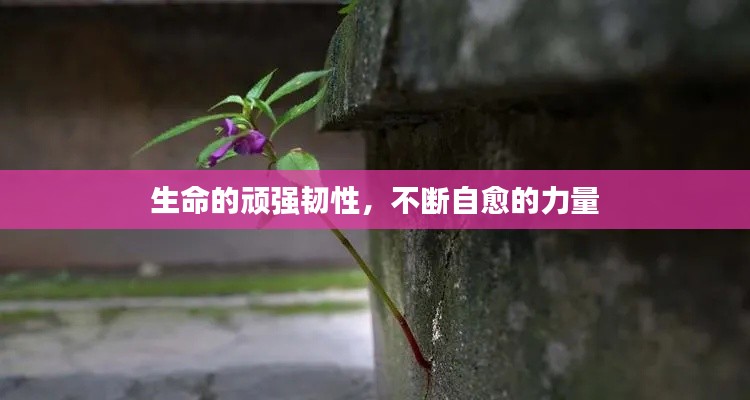 博古通今 第2页