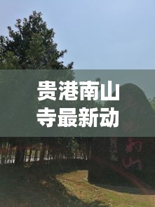 朴素无华 第2页