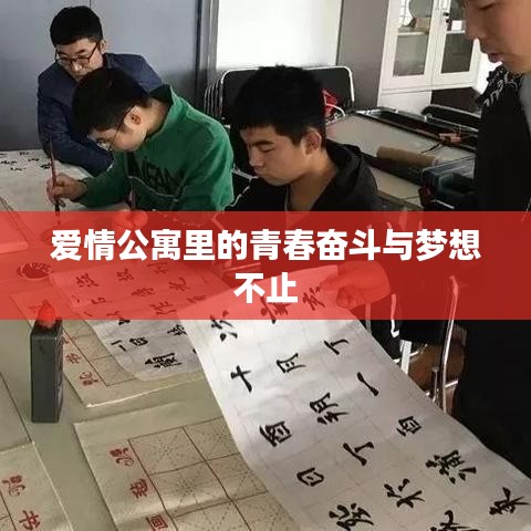 爱情公寓里的青春奋斗与梦想不止