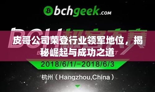 皮哥公司荣登行业领军地位，揭秘崛起与成功之道