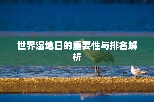 世界湿地日的重要性与排名解析