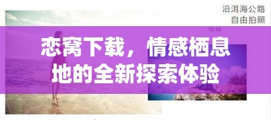 恋窝下载，情感栖息地的全新探索体验