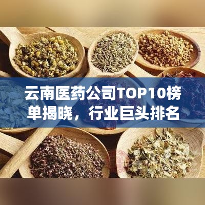 云南医药公司TOP10榜单揭晓，行业巨头排名一览