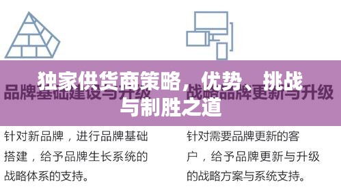 独家供货商策略，优势、挑战与制胜之道