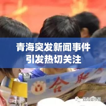 青海突发新闻事件引发热切关注