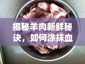 寒蝉僵鸟 第2页