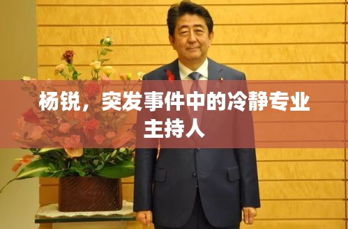 杨锐，突发事件中的冷静专业主持人