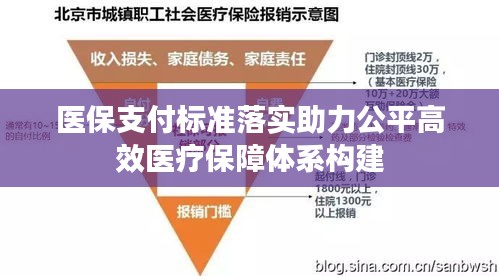 医保支付标准落实助力公平高效医疗保障体系构建