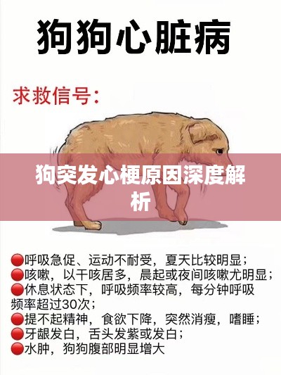 临危不惧 第2页