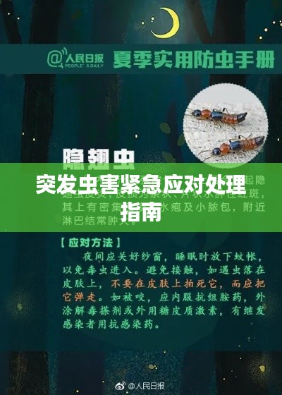 突发虫害紧急应对处理指南
