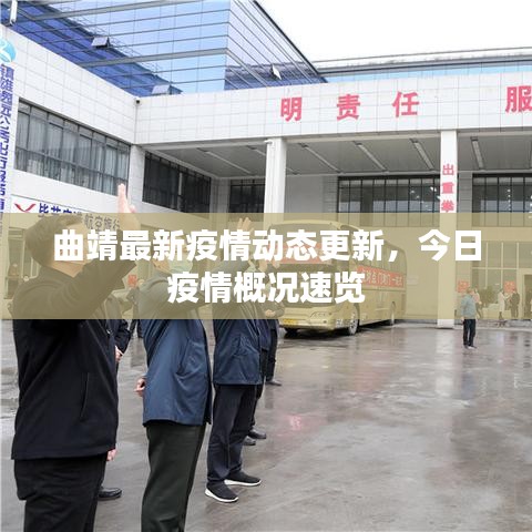 曲靖最新疫情动态更新，今日疫情概况速览